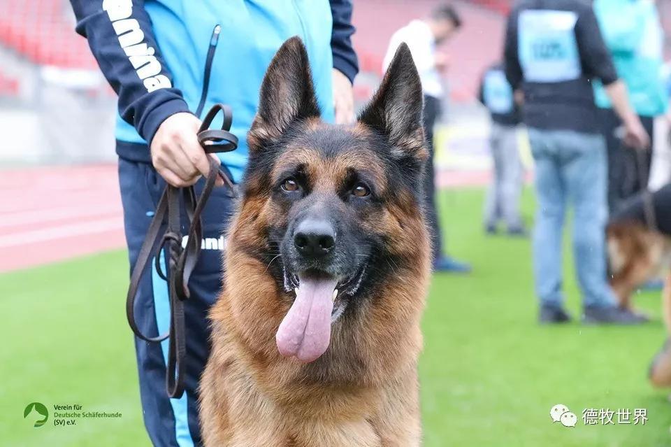 九游官网-uzi打篮球